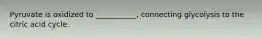 Pyruvate is oxidized to ___________, connecting glycolysis to the citric acid cycle.