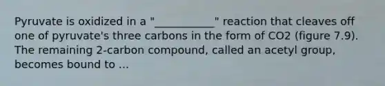 Pyruvate is oxidized in a "___________" reaction that cleaves off one of pyruvate's three carbons in the form of CO2 (figure 7.9). The remaining 2-carbon compound, called an acetyl group, becomes bound to ...