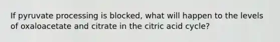 If pyruvate processing is blocked, what will happen to the levels of oxaloacetate and citrate in the citric acid cycle?