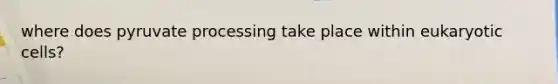 where does pyruvate processing take place within eukaryotic cells?