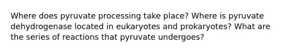 Where does pyruvate processing take place? Where is pyruvate dehydrogenase located in eukaryotes and prokaryotes? What are the series of reactions that pyruvate undergoes?