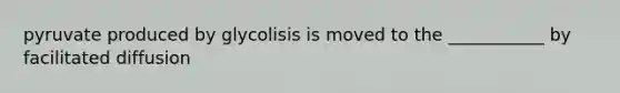 pyruvate produced by glycolisis is moved to the ___________ by facilitated diffusion