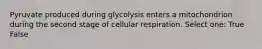 Pyruvate produced during glycolysis enters a mitochondrion during the second stage of cellular respiration. Select one: True False