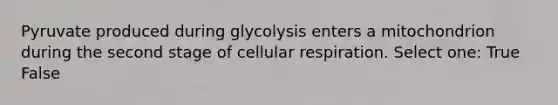 Pyruvate produced during glycolysis enters a mitochondrion during the second stage of cellular respiration. Select one: True False