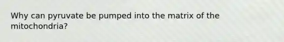 Why can pyruvate be pumped into the matrix of the mitochondria?