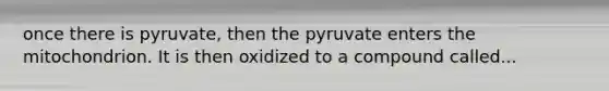 once there is pyruvate, then the pyruvate enters the mitochondrion. It is then oxidized to a compound called...