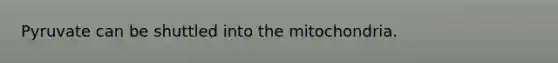 Pyruvate can be shuttled into the mitochondria.