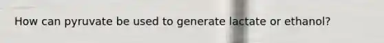 How can pyruvate be used to generate lactate or ethanol?
