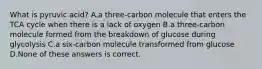 What is pyruvic acid? A.a three-carbon molecule that enters the TCA cycle when there is a lack of oxygen B.a three-carbon molecule formed from the breakdown of glucose during glycolysis C.a six-carbon molecule transformed from glucose D.None of these answers is correct.