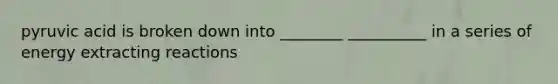 pyruvic acid is broken down into ________ __________ in a series of energy extracting reactions