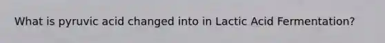What is pyruvic acid changed into in Lactic Acid Fermentation?