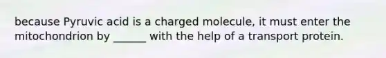 because Pyruvic acid is a charged molecule, it must enter the mitochondrion by ______ with the help of a transport protein.