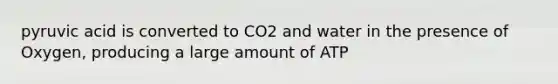 pyruvic acid is converted to CO2 and water in the presence of Oxygen, producing a large amount of ATP