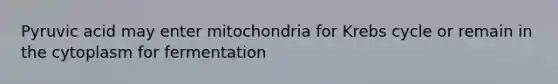 Pyruvic acid may enter mitochondria for Krebs cycle or remain in the cytoplasm for fermentation