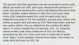 The pyruvic acid from glycolysis can be converted to acetic acid, which can enter the citric acid cycle. Because this process is a cycle, the atoms entering the cycle must balance the atoms that leave. Consider carbon balance in the citric acid cycle. How many CO2 molecules leave the cycle for each acetic acid molecule that enters? For this question, assume that carbon only enters as acetic acid and exits as CO2. Note that acetic acid has two carbon atoms. You can determine the number of carbon atoms in carbon dioxide from its formula, CO2. (a) Using the above answer, how many molecules of CO2 are directly generated by the citric acid cycle from 3 molecules of acetic acid? Again, in this question assume that carbon only enters as acetic acid and exits as CO2. (b)