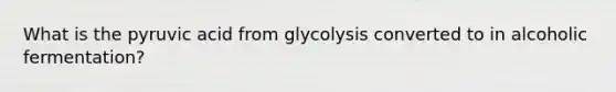 What is the pyruvic acid from glycolysis converted to in alcoholic fermentation?