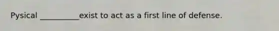 Pysical __________exist to act as a first line of defense.