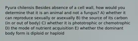 Pyura chilensis Besides absence of a <a href='https://www.questionai.com/knowledge/koIRusoDXG-cell-wall' class='anchor-knowledge'>cell wall</a>, how would you determine that it is an animal and not a fungus? A) whether it can reproduce sexually or asexually B) the source of its carbon (in or out of body) C) whether it is phototrophic or chemotrophic D) the mode of nutrient acquisition E) whether the dominant body form is diploid or haploid