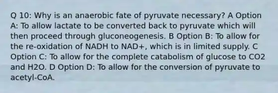 Q 10: Why is an anaerobic fate of pyruvate necessary? A Option A: To allow lactate to be converted back to pyruvate which will then proceed through gluconeogenesis. B Option B: To allow for the re-oxidation of NADH to NAD+, which is in limited supply. C Option C: To allow for the complete catabolism of glucose to CO2 and H2O. D Option D: To allow for the conversion of pyruvate to acetyl-CoA.