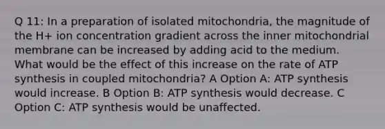 Q 11: In a preparation of isolated mitochondria, the magnitude of the H+ ion concentration gradient across the inner mitochondrial membrane can be increased by adding acid to the medium. What would be the effect of this increase on the rate of <a href='https://www.questionai.com/knowledge/kx3XpCJrFz-atp-synthesis' class='anchor-knowledge'>atp synthesis</a> in coupled mitochondria? A Option A: ATP synthesis would increase. B Option B: ATP synthesis would decrease. C Option C: ATP synthesis would be unaffected.