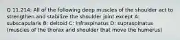 Q 11.214: All of the following deep muscles of the shoulder act to strengthen and stabilize the shoulder joint except A: subscapularis B: deltoid C: infraspinatus D: supraspinatus (muscles of the thorax and shoulder that move the humerus)