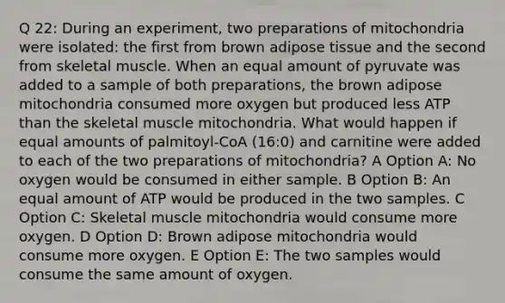 Q 22: During an experiment, two preparations of mitochondria were isolated: the first from brown adipose tissue and the second from skeletal muscle. When an equal amount of pyruvate was added to a sample of both preparations, the brown adipose mitochondria consumed more oxygen but produced less ATP than the skeletal muscle mitochondria. What would happen if equal amounts of palmitoyl-CoA (16:0) and carnitine were added to each of the two preparations of mitochondria? A Option A: No oxygen would be consumed in either sample. B Option B: An equal amount of ATP would be produced in the two samples. C Option C: Skeletal muscle mitochondria would consume more oxygen. D Option D: Brown adipose mitochondria would consume more oxygen. E Option E: The two samples would consume the same amount of oxygen.