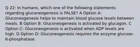 Q 22: In humans, which one of the following statements regarding gluconeogenesis is FALSE? A Option A: Gluconeogenesis helps to maintain blood glucose levels between meals. B Option B: Gluconeogenesis is activated by glucagon. C Option C: Gluconeogenesis is activated when ADP levels are high. D Option D: Gluconeogenesis requires the enzyme glucose-6-phosphatase.