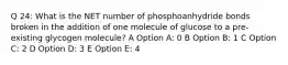 Q 24: What is the NET number of phosphoanhydride bonds broken in the addition of one molecule of glucose to a pre-existing glycogen molecule? A Option A: 0 B Option B: 1 C Option C: 2 D Option D: 3 E Option E: 4