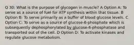 Q 30: What is the purpose of glycogen in muscle? A Option A: To serve as a source of fuel for ATP synthesis within that tissue. B Option B: To serve primarily as a buffer of blood glucose levels. C Option C: To serve as a source of glucose-6-phosphate which is subsequently dephosphorylated by glucose-6-phosphatase and transported out of the cell. D Option D: To activate kinases and regulate glucose metabolism.