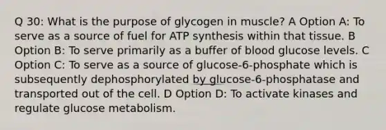 Q 30: What is the purpose of glycogen in muscle? A Option A: To serve as a source of fuel for ATP synthesis within that tissue. B Option B: To serve primarily as a buffer of blood glucose levels. C Option C: To serve as a source of glucose-6-phosphate which is subsequently dephosphorylated by glucose-6-phosphatase and transported out of the cell. D Option D: To activate kinases and regulate glucose metabolism.