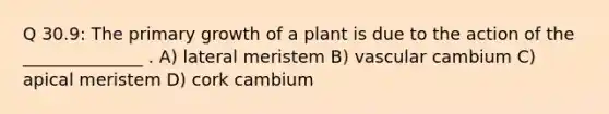 Q 30.9: The primary growth of a plant is due to the action of the ______________ . A) lateral meristem B) vascular cambium C) apical meristem D) cork cambium