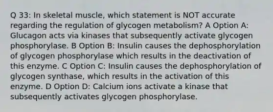 Q 33: In skeletal muscle, which statement is NOT accurate regarding the regulation of glycogen metabolism? A Option A: Glucagon acts via kinases that subsequently activate glycogen phosphorylase. B Option B: Insulin causes the dephosphorylation of glycogen phosphorylase which results in the deactivation of this enzyme. C Option C: Insulin causes the dephosphorylation of glycogen synthase, which results in the activation of this enzyme. D Option D: Calcium ions activate a kinase that subsequently activates glycogen phosphorylase.