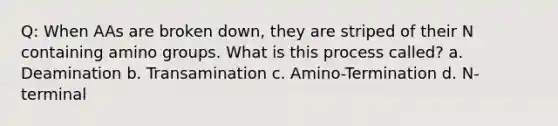 Q: When AAs are broken down, they are striped of their N containing amino groups. What is this process called? a. Deamination b. Transamination c. Amino-Termination d. N-terminal