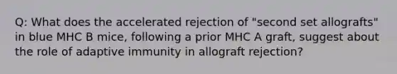 Q: What does the accelerated rejection of "second set allografts" in blue MHC B mice, following a prior MHC A graft, suggest about the role of adaptive immunity in allograft rejection?