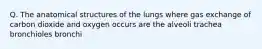 Q. The anatomical structures of the lungs where gas exchange of carbon dioxide and oxygen occurs are the alveoli trachea bronchioles bronchi