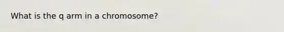 What is the q arm in a chromosome?