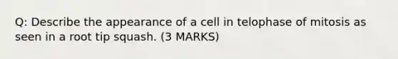 Q: Describe the appearance of a cell in telophase of mitosis as seen in a root tip squash. (3 MARKS)