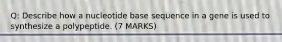 Q: Describe how a nucleotide base sequence in a gene is used to synthesize a polypeptide. (7 MARKS)