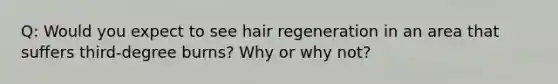 Q: Would you expect to see hair regeneration in an area that suffers third-degree burns? Why or why not?