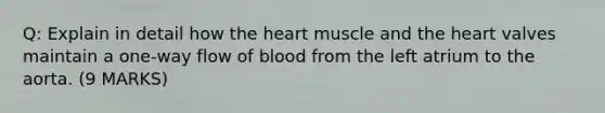 Q: Explain in detail how the heart muscle and the heart valves maintain a one-way flow of blood from the left atrium to the aorta. (9 MARKS)