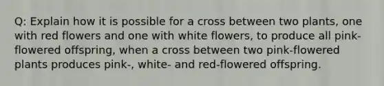 Q: Explain how it is possible for a cross between two plants, one with red flowers and one with white flowers, to produce all pink-flowered offspring, when a cross between two pink-flowered plants produces pink-, white- and red-flowered offspring.