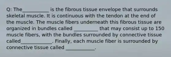 Q: The___________ is the fibrous tissue envelope that surrounds skeletal muscle. It is continuous with the tendon at the end of the muscle. The muscle fibers underneath this fibrous tissue are organized in bundles called __________ that may consist up to 150 muscle fibers, with the bundles surrounded by connective tissue called_____________. Finally, each muscle fiber is surrounded by connective tissue called ____________.