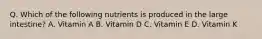 Q. Which of the following nutrients is produced in the large intestine? A. Vitamin A B. Vitamin D C. Vitamin E D. Vitamin K