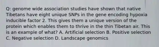 Q: genome wide association studies have shown that native Tibetans have eight unique SNPs in the gene encoding hypoxia inducible factor 2. This gives them a unique version of the protein which enables them to thrive in the thin Tibetan air. This is an example of what? A. Artificial selection B. Positive selection C. Negative selection D. Landscape genomics