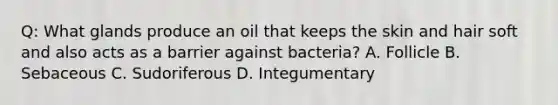 Q: What glands produce an oil that keeps the skin and hair soft and also acts as a barrier against bacteria? A. Follicle B. Sebaceous C. Sudoriferous D. Integumentary