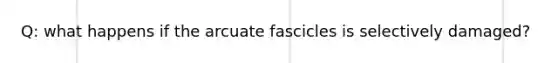 Q: what happens if the arcuate fascicles is selectively damaged?