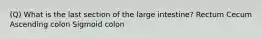 (Q) What is the last section of the large intestine? Rectum Cecum Ascending colon Sigmoid colon