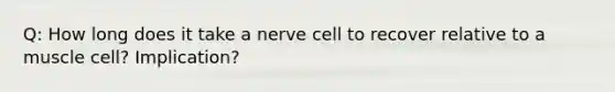 Q: How long does it take a nerve cell to recover relative to a muscle cell? Implication?