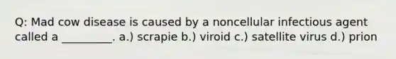 Q: Mad cow disease is caused by a noncellular infectious agent called a _________. a.) scrapie b.) viroid c.) satellite virus d.) prion