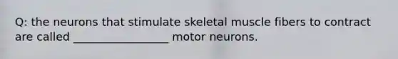 Q: the neurons that stimulate skeletal muscle fibers to contract are called _________________ motor neurons.